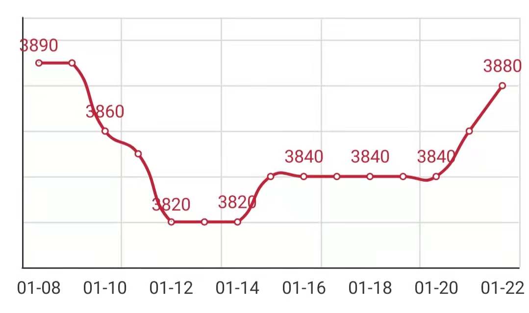 盘条报价,盘条价格,盘圆价格